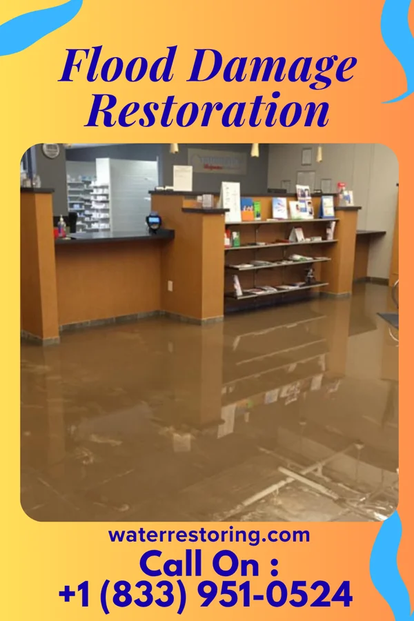 Flood Damage Restoration in Ronan, MT